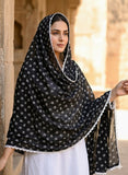 Lace Bordered Chaddar - Black Art 1